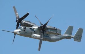 osprey1